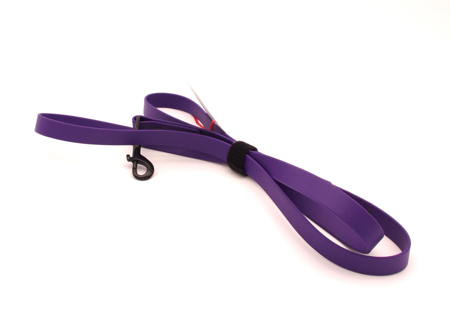 5ft Purple Standard Width leash with Black Plated Swivel Snap