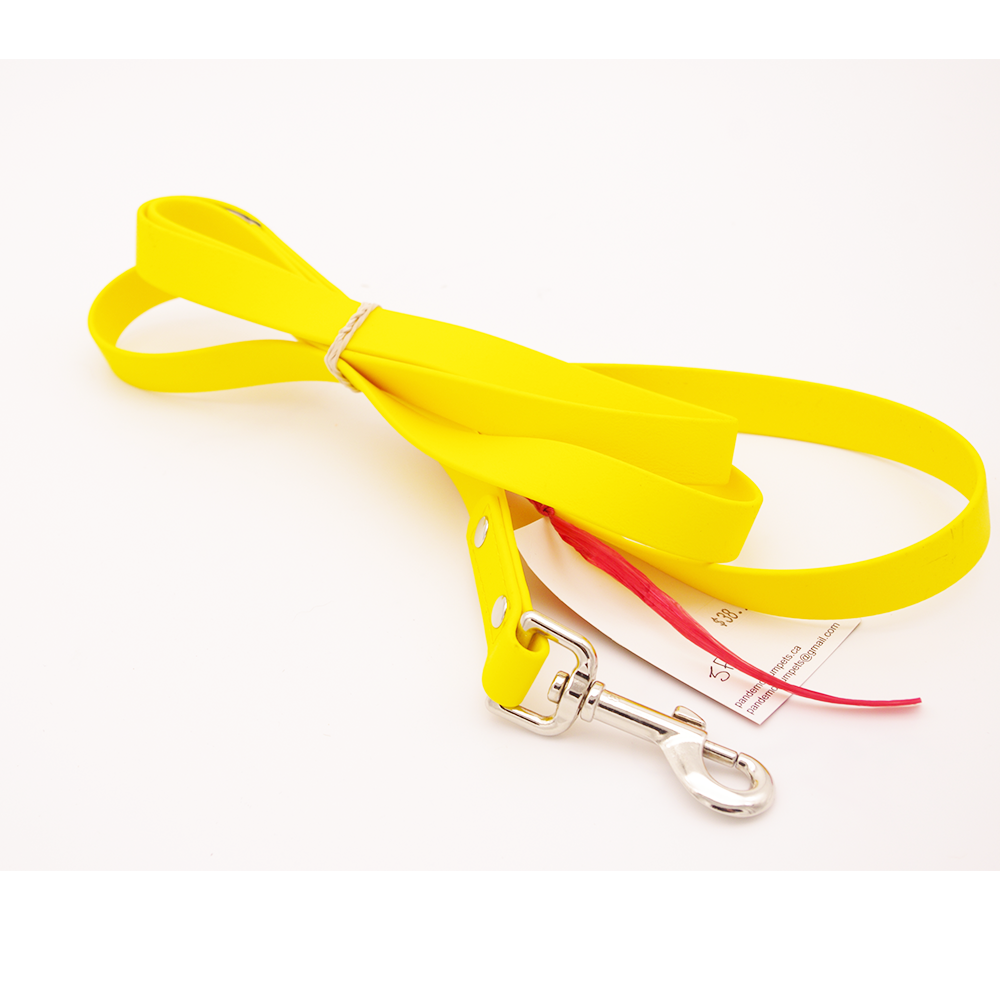 5 ft Yellow Biothane Leash with Swivel Snap