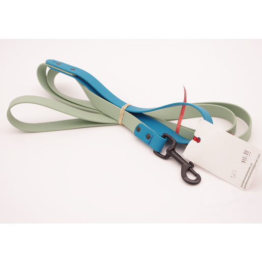 6ft Sage and Sea Foam Biothane Leash with Black Swivel Snap