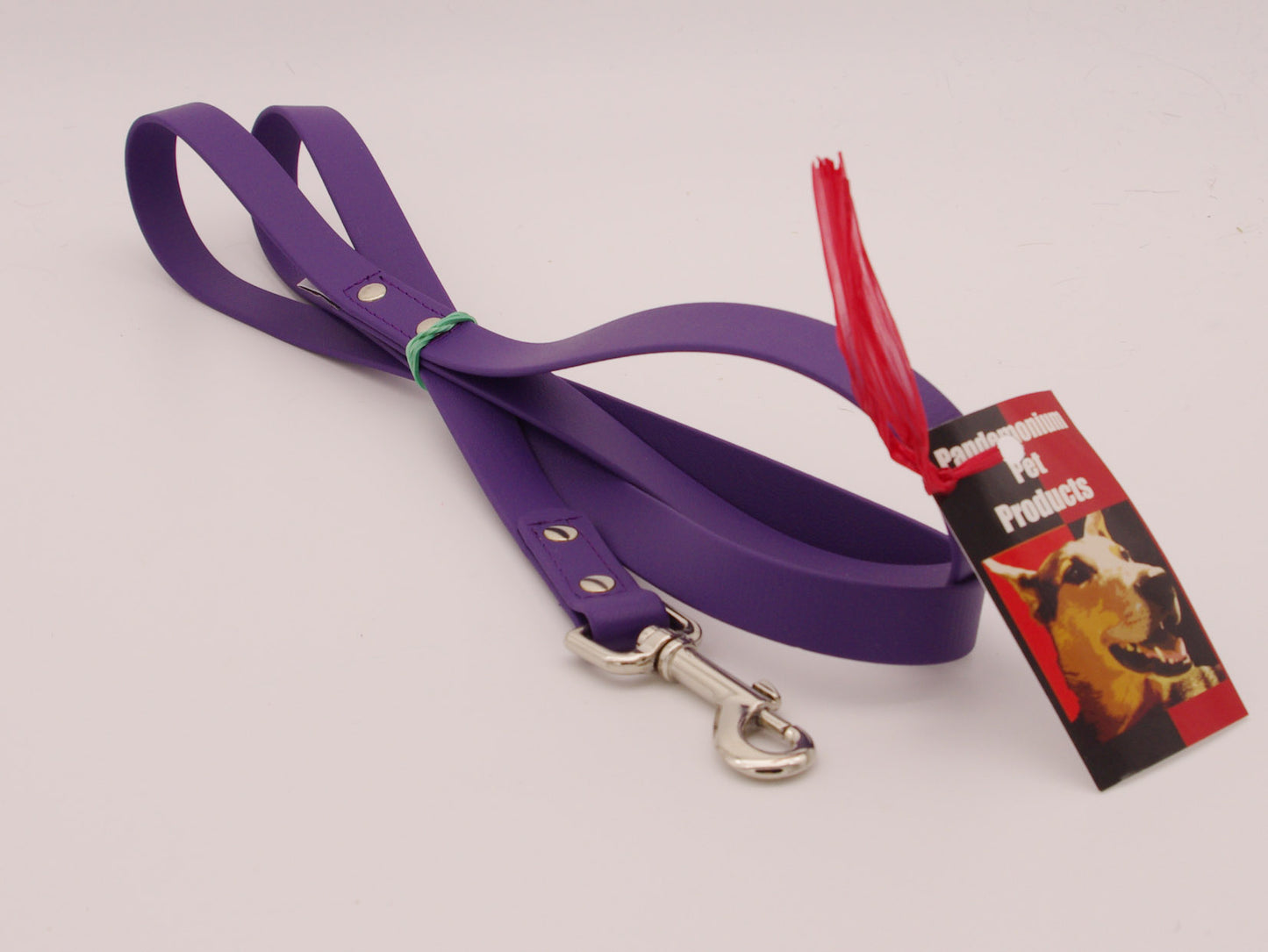 5ft Purple Standard Width leash with Nickel Plated Swivel Snap