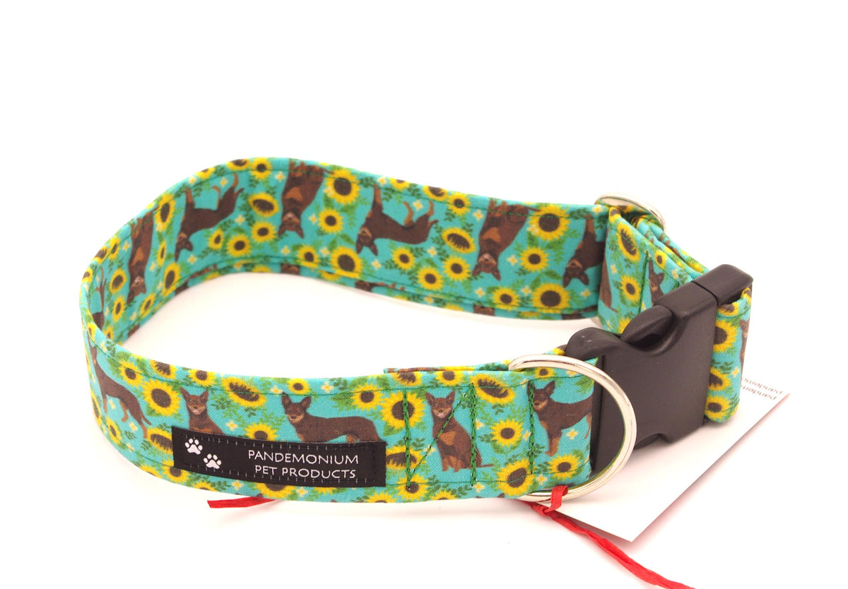 Medium - 1.5 inch wide - Sunflower Kelpie