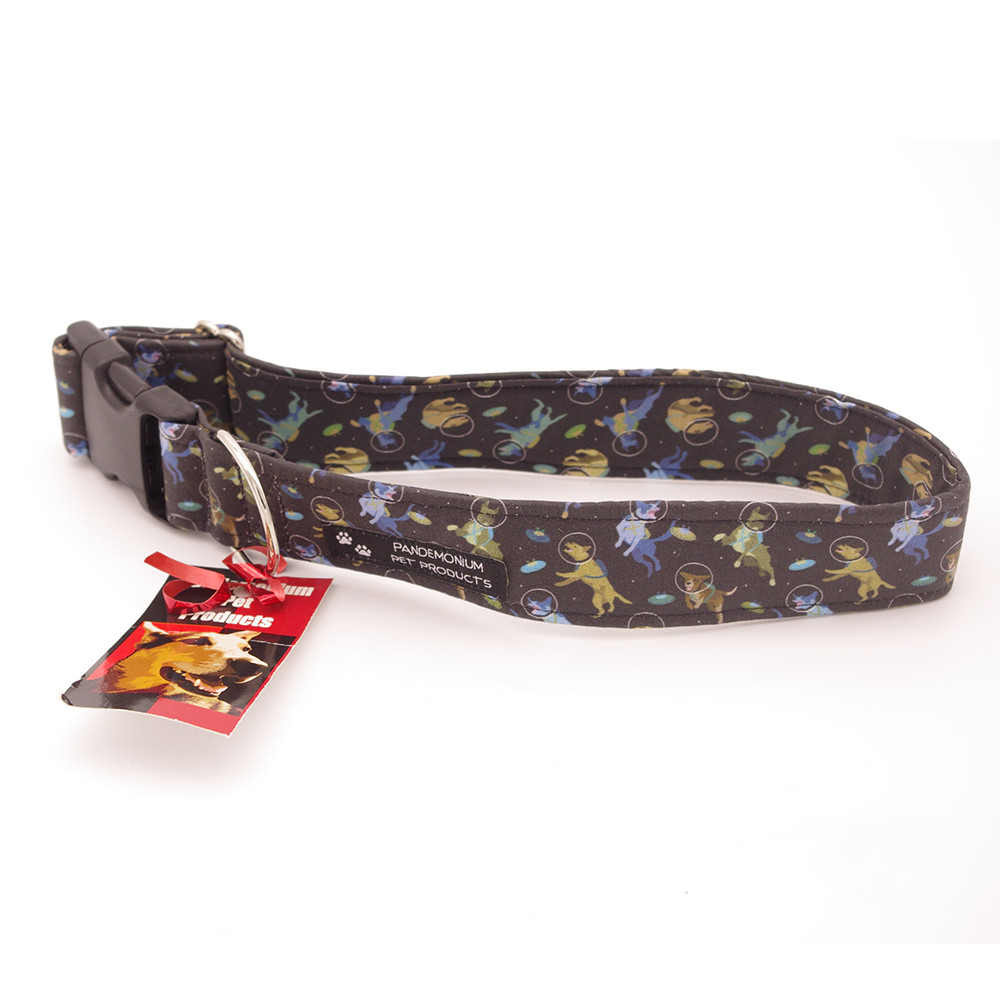 Disc Dog in Space - Large, 1.5" wide collar
