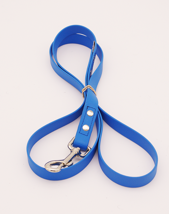 4ft leash - 3/4 inch biothane - Locking Carabiner Snap