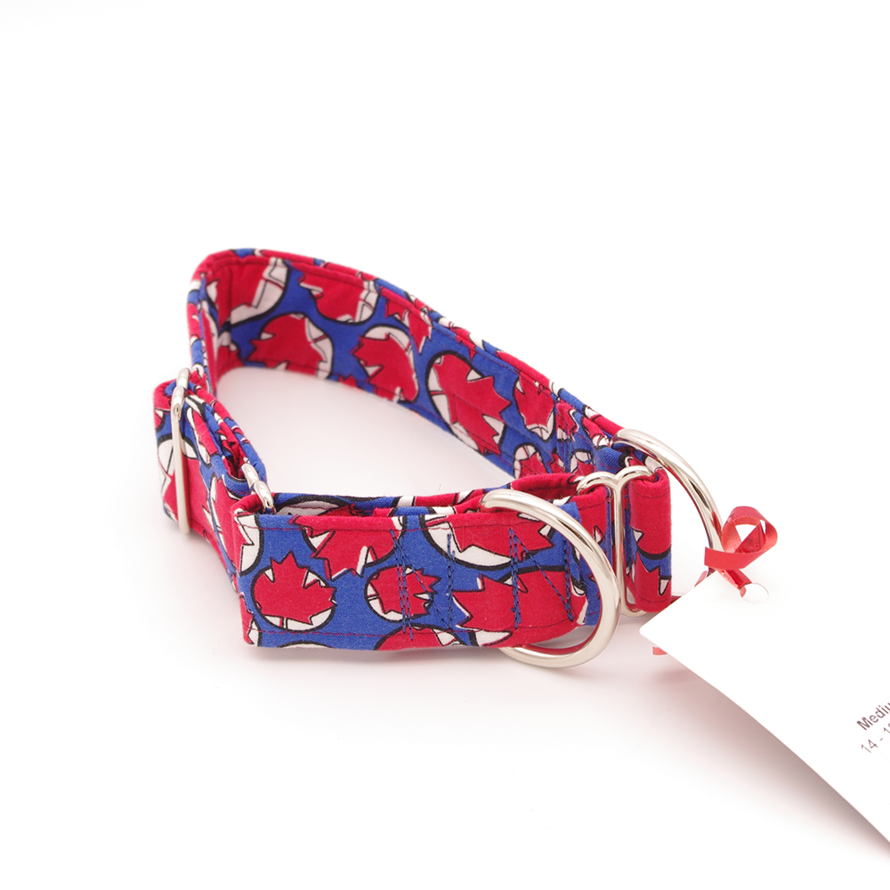 Blue Maple - Medium, 1.5" Martingale