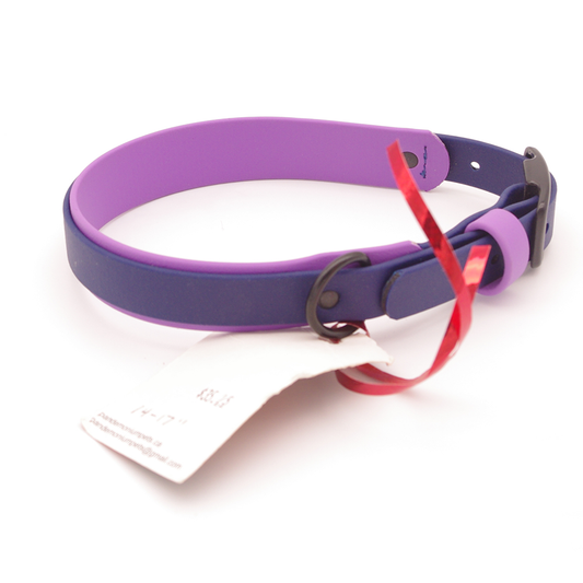 Medium Navy and Amethyst 1 inch collar