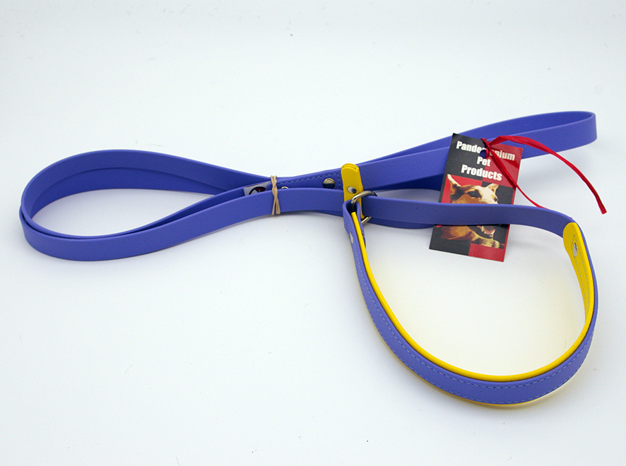 Biothane Simple Slip Leash - 1/2 inch wide leash with 3/4 inch neck insert - Nickel Hardware - Size Small