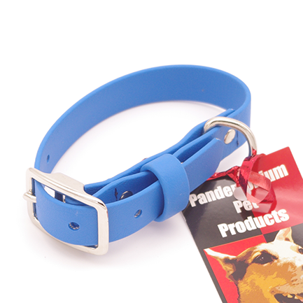 Small - 3/4 inch wide - Flat Buckle Collar