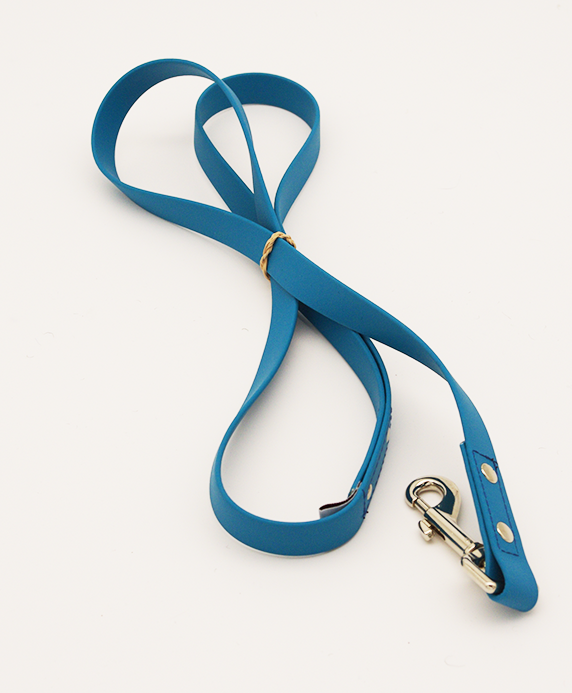 4ft leash - 3/4 inch biothane - Locking Carabiner Snap