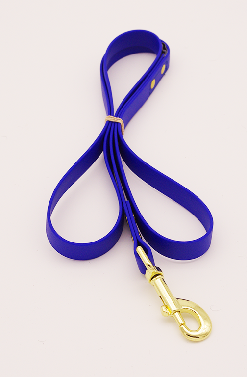 4ft leash - 3/4 inch biothane - Locking Carabiner Snap