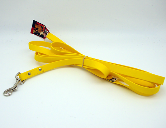 12 ft leash - 3/4 inch biothane - Scissor Snap
