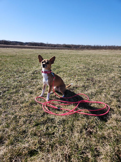 30 ft biothane leash - 1/2 inch wide - Black Hardware