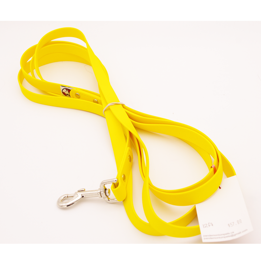12 ft Standard Width Leash with Swivel Snap