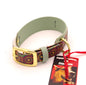 Medium 1.5 inch wide Double-Layer UV printed Biothane - Mosaic- 14 - 17  inches, Brass-plated hardware