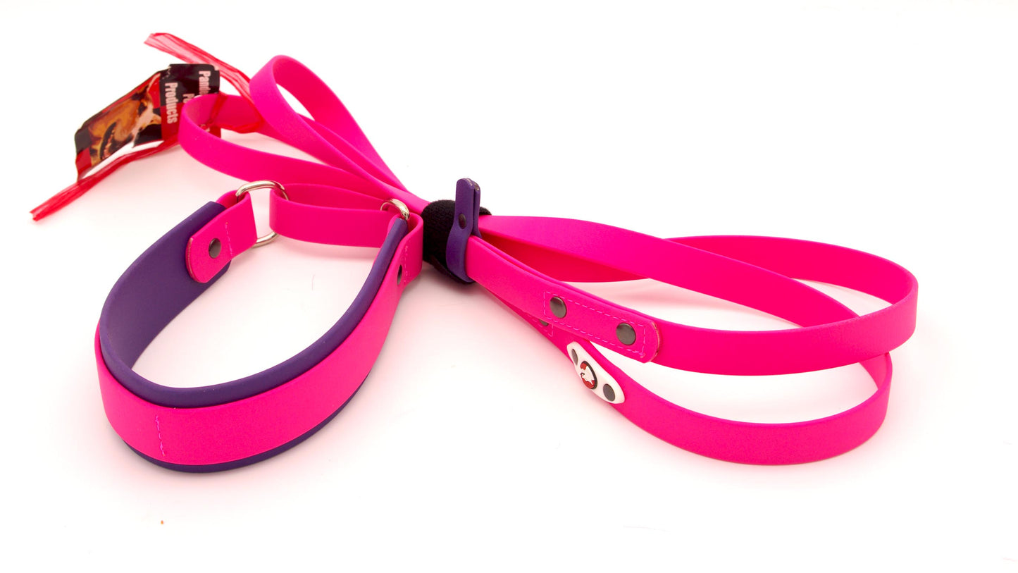 Martingale Slip Lead: Double-Layered Collar