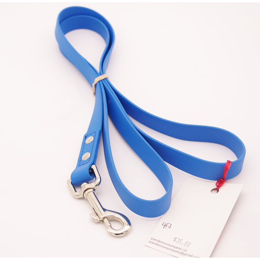 4ft Medium Blue Leash with Swivel Snap
