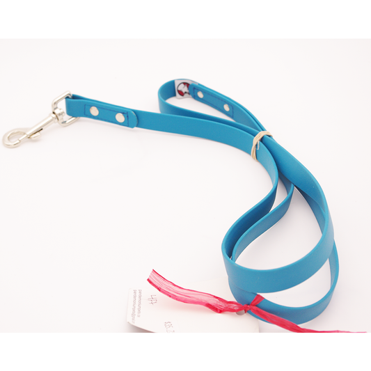 4ft Sea Foam Leash with Swivel Snap