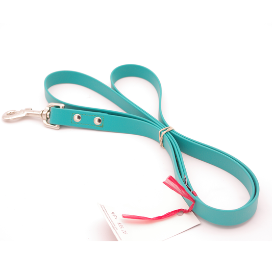 4 ft Teal Biothane Leash with Swivel Snap