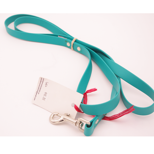 6 ft Teal Biothane Leash with Swivel Snap