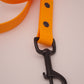 4ft biothane leash - 3/4 width