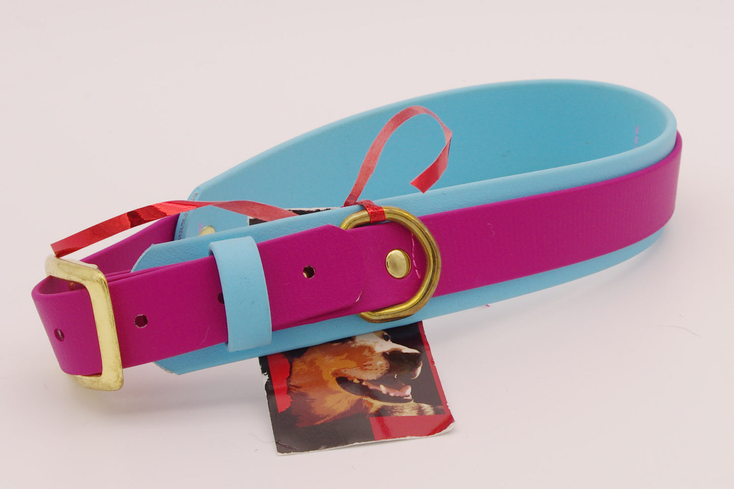 1.5 inch double layer collar - Magenta and Baby Blue with Brass Plated Hardware
