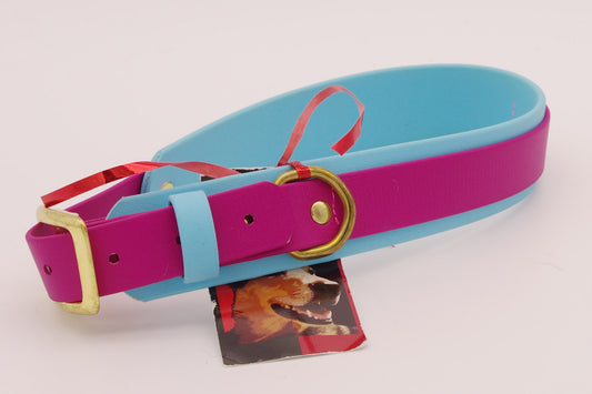 1.5 inch double layer collar - Magenta and Baby Blue with Brass Plated Hardware