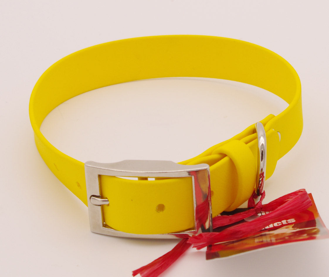 Medium-Large - 1 inch wide - Yellow Collar with Nickel Plated Hardware