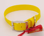 Medium-Large - 1 inch wide - Yellow Collar with Nickel Plated Hardware