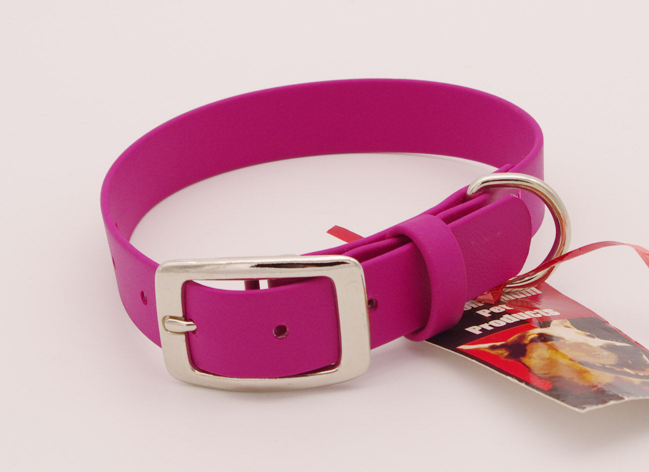 Medium - 1 inch wide - Magenta with Nickel Plated Hardware