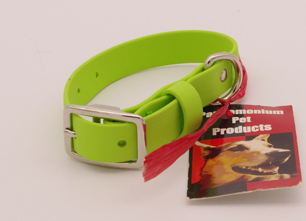 Small - 3/4 inch wide - Lime with Nickel plated hardware