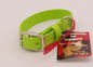 Small - 3/4 inch wide - Lime with Nickel plated hardware