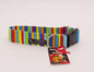 Medium - 1.5 inch - rainbow stripes