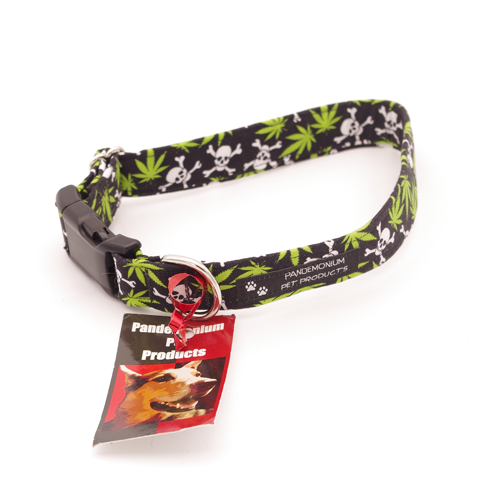 Skulls and Mary Jane - Medium, 1" wide collar