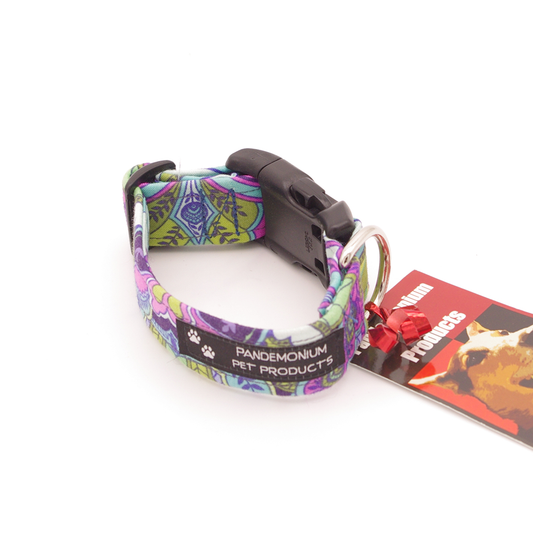 Purple Morris - Xtra Small, 1" wide collar