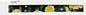 Buttercup Martingale