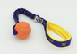 Medium Chuck-It Ball Bungee Tug - Shorty