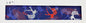 Disc Dog Martingale
