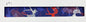Disc Dog Martingale