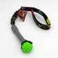 Green Berry Bungee Tug - Shorty