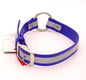 Large (19 -23) - 1 inch - Blue Reflective Hunting Collar