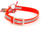 Large (20 - 24) - 1 inch - Orange Reflective Hunting Collar