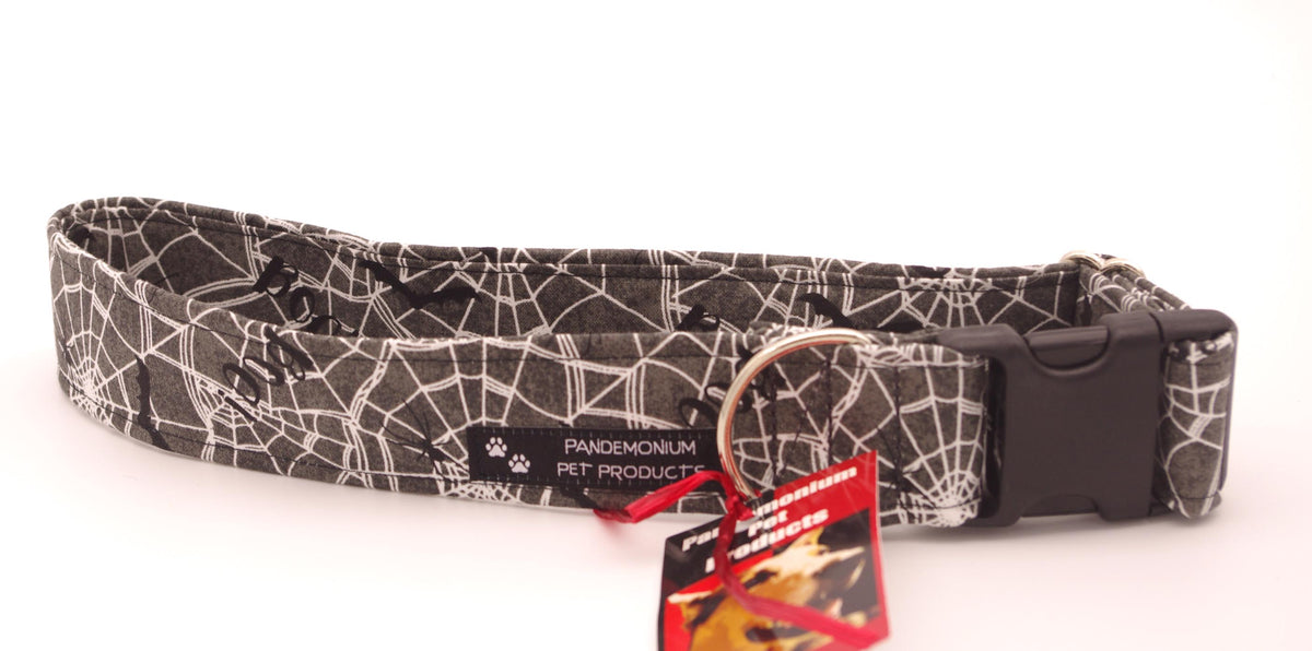 Large - 1.5 inch wide - Webs