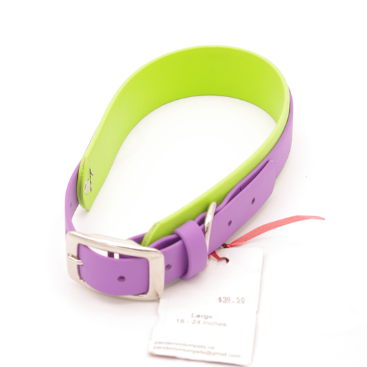 Large Amethyst and Lime Biothane Collar
