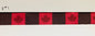 Maple Squares Martingale