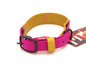Medium (12 - 16) - 1 inch wide -  double layer biothane - Amethyst over Gold - Black Hardware