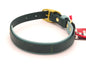 Medium (14 - 18 inches) - 1 inch wide -  double layer biothane - Hunter Green over Sage - Brass Plate Hardware