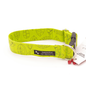 Lime Leaves - Medium, 1.5" wide collar