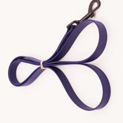 4ft leash - 3/4 inch biothane - swivel snap