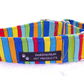 Rainbow Stripes Martingale