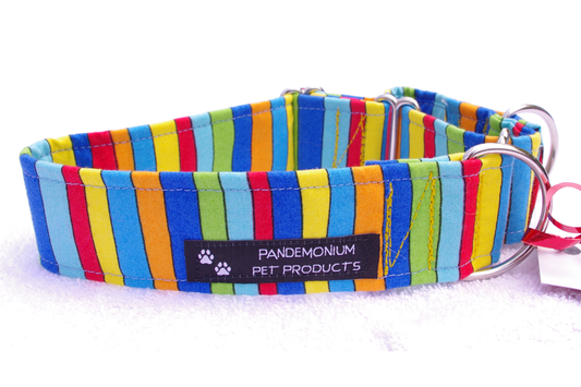 Rainbow Stripes Martingale