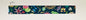 Sealife Martingale
